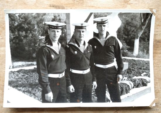 Фото трех матросов. 1970-е. 11х17.5 см.