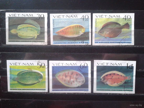 Вьетнам 1982 Рыбы, камбалообразные без перф.