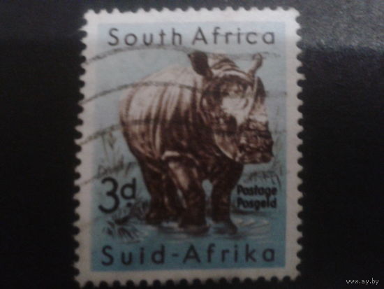 ЮАР 1954 носорог