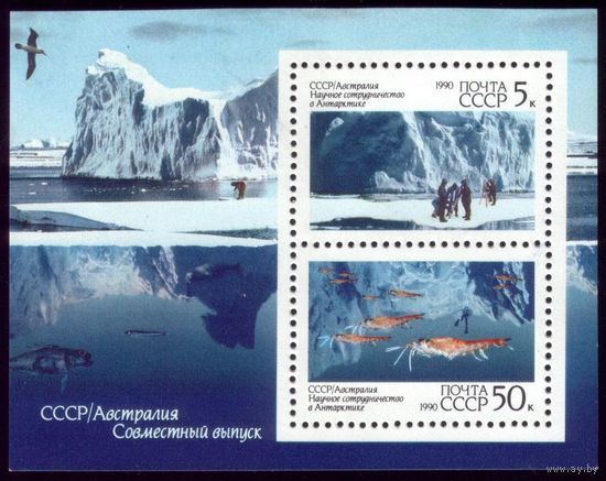 Блок 1990 год Антарктика 216