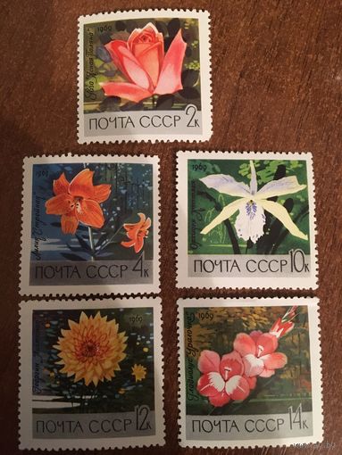 СССР 1969. Цветы. Флора. Полная серия