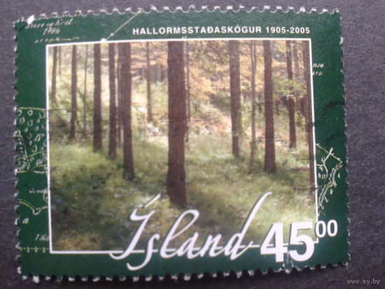 Исландия 2005 лес