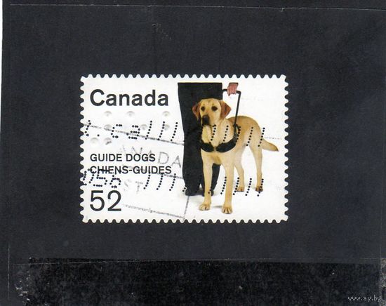 Канада. Ми-2465. Собака-поводырь. 2008 .