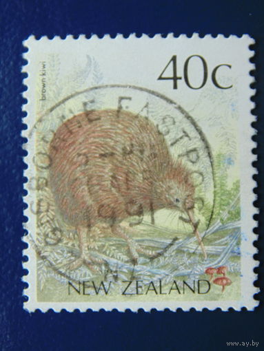 Новая Зеландия. Фауна.