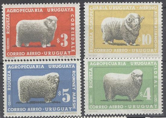 Уругвай. Фауна. Овцы