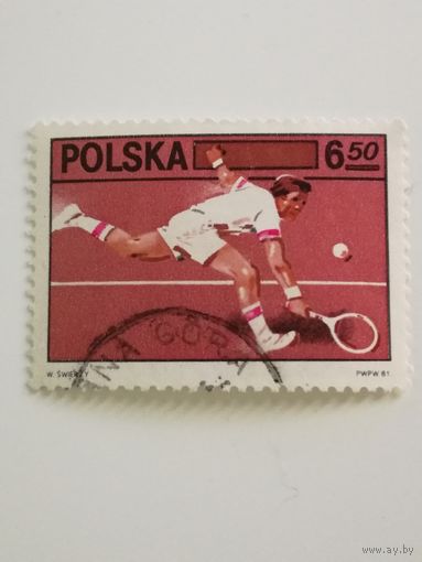 Польша 1981. 60-летие Польского общества теннисистов. Полная серия