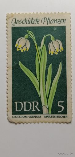 ГДР 1969. Охраняемые растения