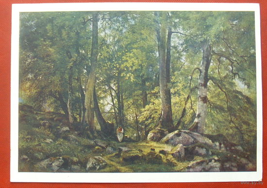 Шишкин. В лесу. Чистая. 1963 года. 1955.