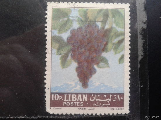 Ливан, 1962. Виноград
