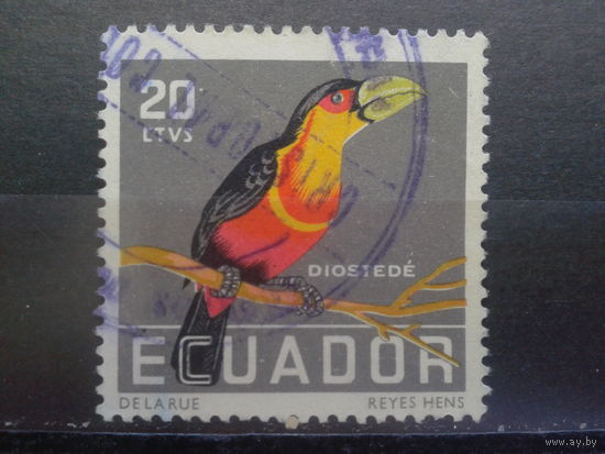 Эквадор, 1958. Большой тукан