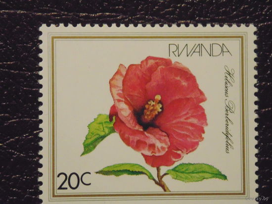 Руанда. Флора