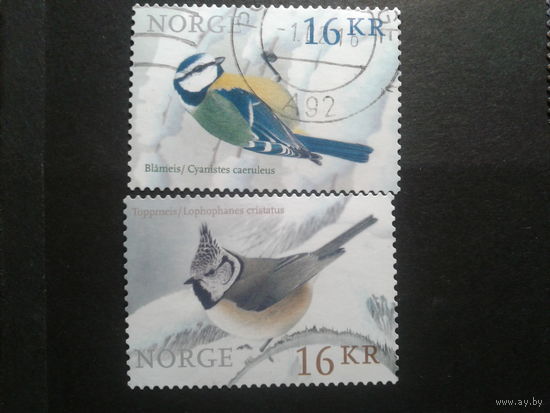Норвегия 2015 птицы
