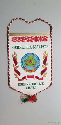 Вымпел комплексное оперативное учение Чистое Небо 2003 Беларусь