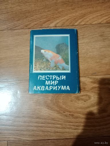 Набор открыток пестрый мир аквариума