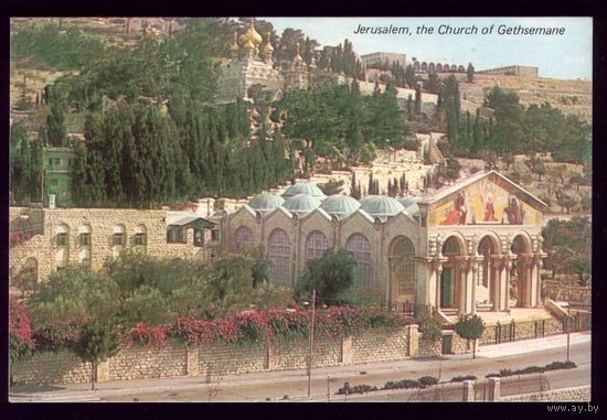 Израиль Иерусалим Гофсиманская церковь