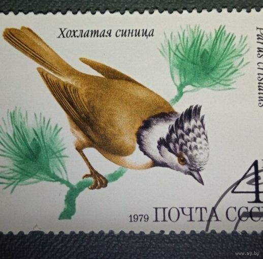 Марка СССР.Птицы.1979