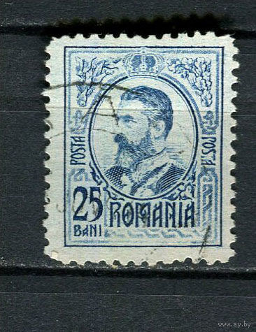 Королевство Румыния - 1908 - Король Кароль I 25B (разновидность оттенка) - [Mi.215_] - 1 марка. Гашеная.  (LOT DX44)-T10P29