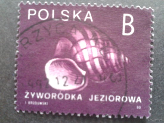 Польша 1990 стандарт ракушка
