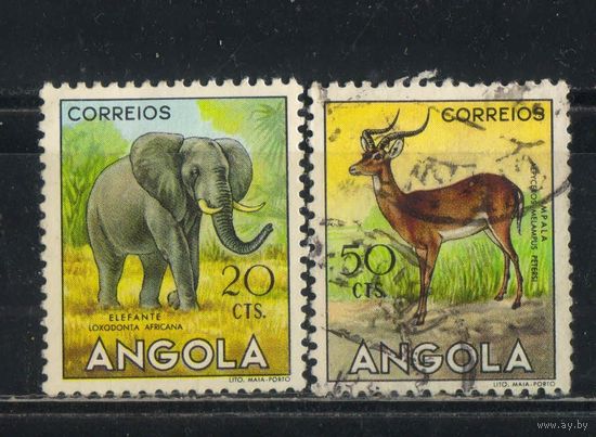 Португалия Колонии Ангола 1953 Слон Импала Стандарт #370,373