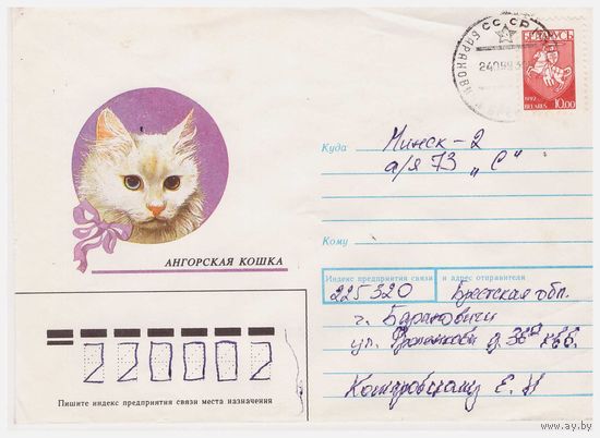Конверт СССР, прошедший почту. Ангорская кошка
