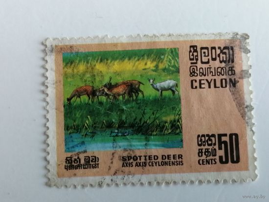Цейлон 1970. Дикая природа