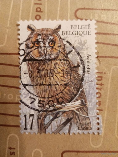 Бельгия 1999. Фауна. Птицы. Asio Otus