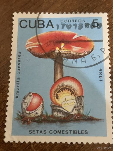 Куба 1989. Грибы. Amanita Caesarea. Марка из серии