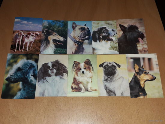 Календарики 1992 Собаки. Полная серия 10 шт. одним лотом