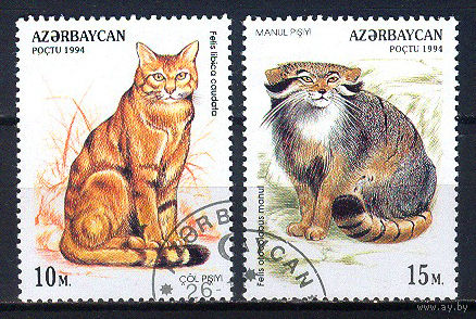 1994 Азербайджан. Дикие кошки