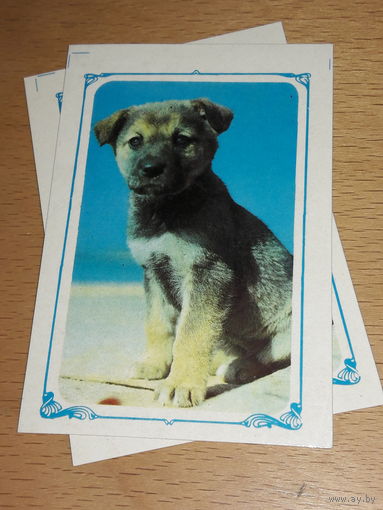 Календарик 1986 Собака. Щенок