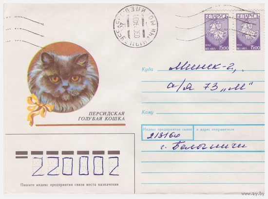 Конверт СССР, прошедший почту. Персидская голубая кошка