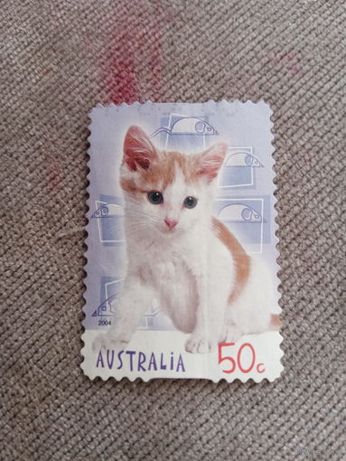 Австралия 2004. Породы домашник кошек