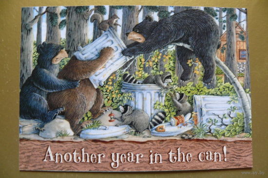 Современная открытка, Jeffrey Severn, чистая; медведи, 50.
