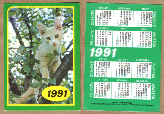 Календарь Кошки 1991