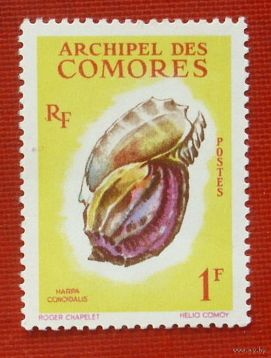 Коморы. Раковина. ( 1 марка ) 1962 года. 8-10.