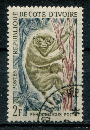 Кот д'Ивуар - 1964г. - обезьяна, 2 F - 1 марка - гашёная с клеем. Без МЦ!