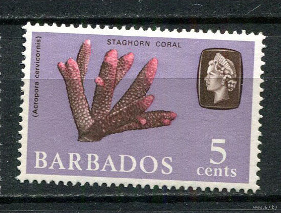 Британские колонии - Барбадос - 1965/1967 - Морская фауна 5С - [Mi.239X] - 1 марка. MH.  (Лот 72Dh)