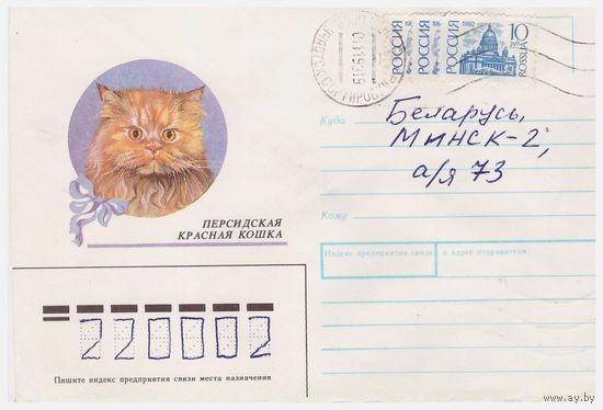 Конверт СССР, прошедший почту. Персидская красная кошка