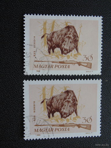 Венгрия 1964 г. Фауна. одна марка.