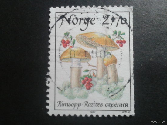 Норвегия 1987 грибы