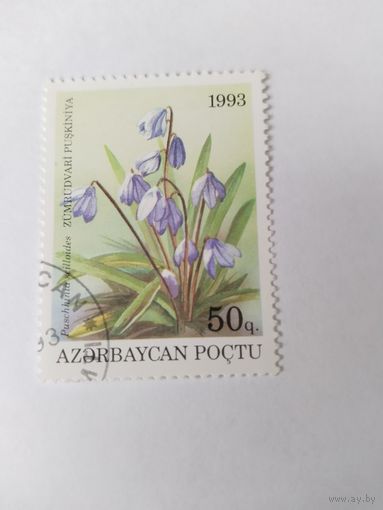 Азербайджан 1993 цветы