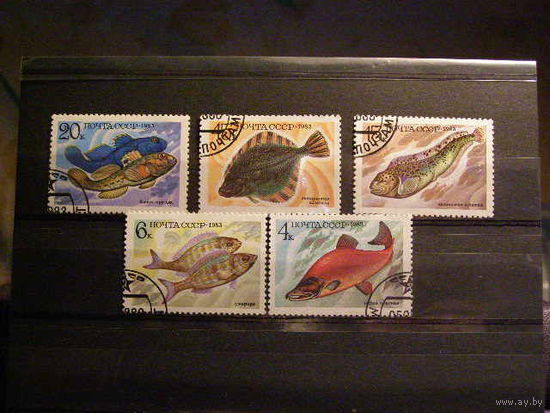 СССР 1983 фауна промысловые рыбы