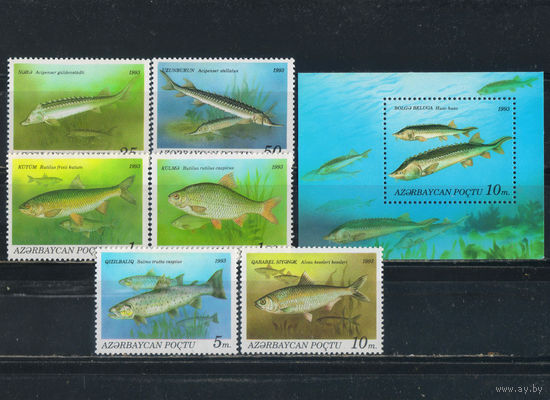 Азербайджан 1993 Рыбы Каспийского бассейна Полная Бл 3 #98-103,104**
