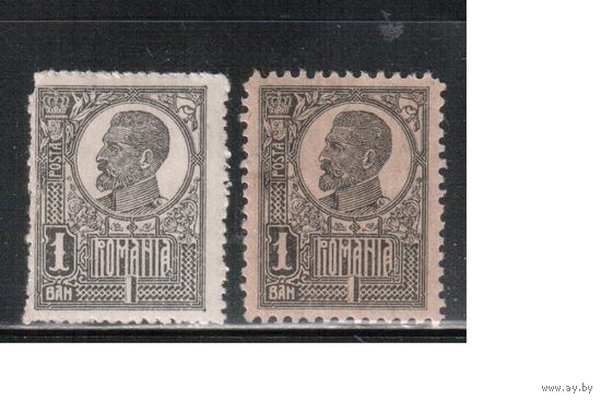 Румыния-1920, (Мих.251 х+У)  * , Стандарт, Король Карл I, 2 типа бумаги