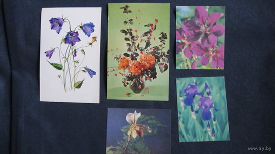 5 открыток "Цветы"