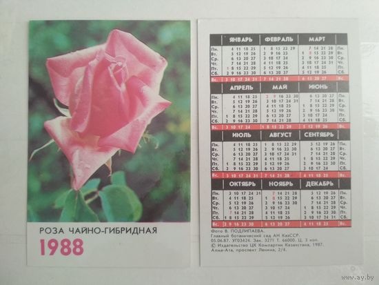 Карманный календарик. Роза чайно-гибридная . 1988 год