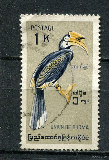 Бирма (Мьянма) - 1964 - Птица 1К - (есть тонкое место) - [Mi.186] - 1 марка. Гашеная.  (LOT X9)