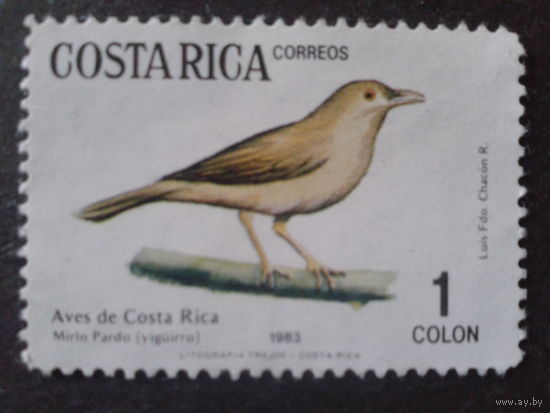 Коста-Рика 1984 птица