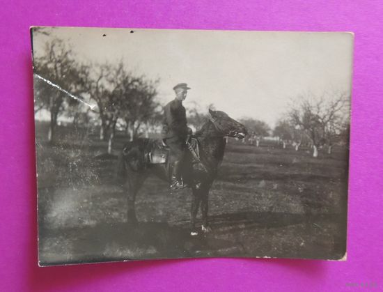 Фото "Красный командир на коне" (11,5*8,5 см), 1935 г.