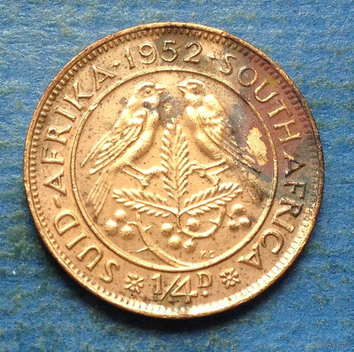 Южная Африка Британский доминион 1/4 пенни 1952 Георг VI